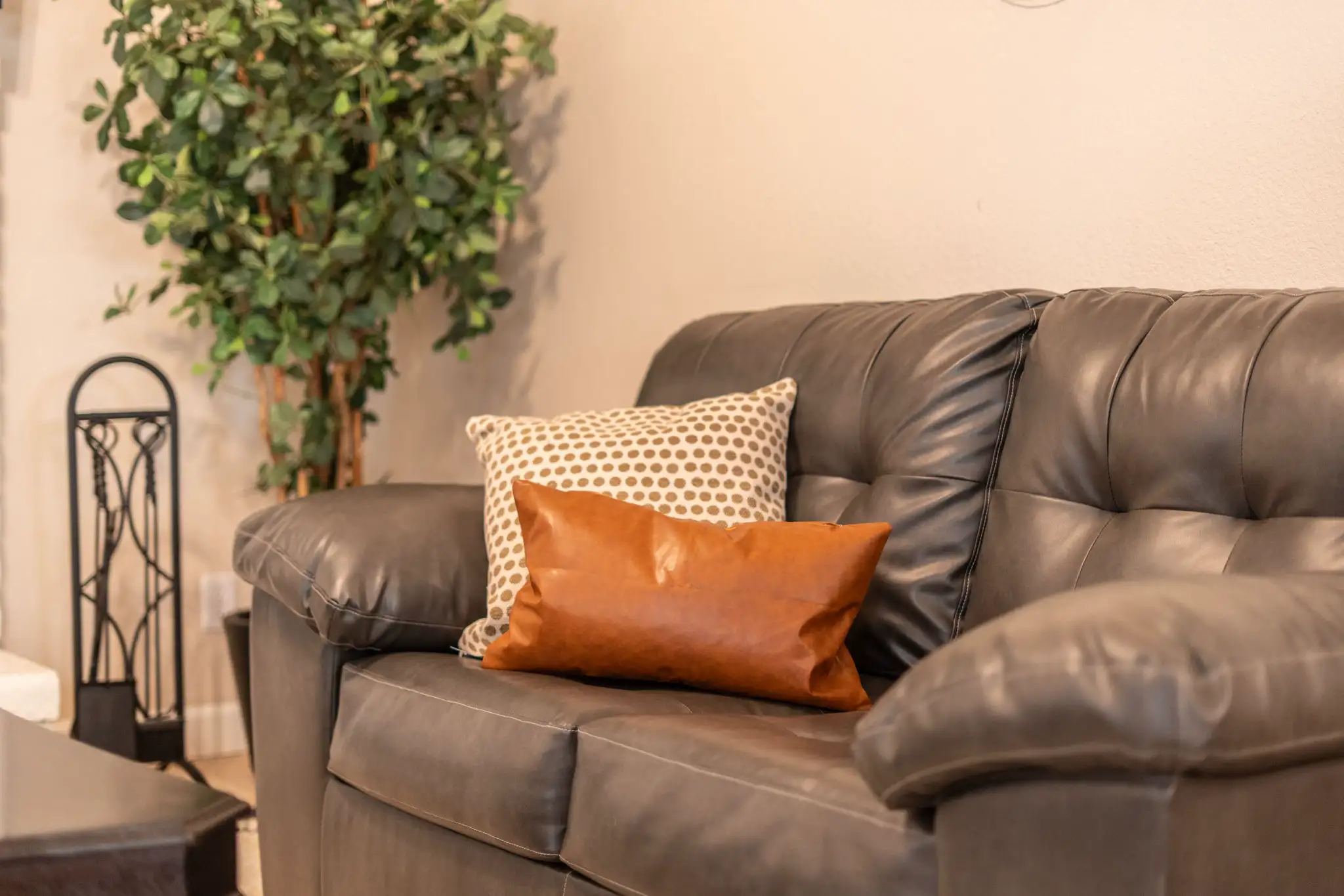A section of a dark leather couch topped with a polka-dot pillow and a solid brown pillow. In the background is a large green indoor plant.