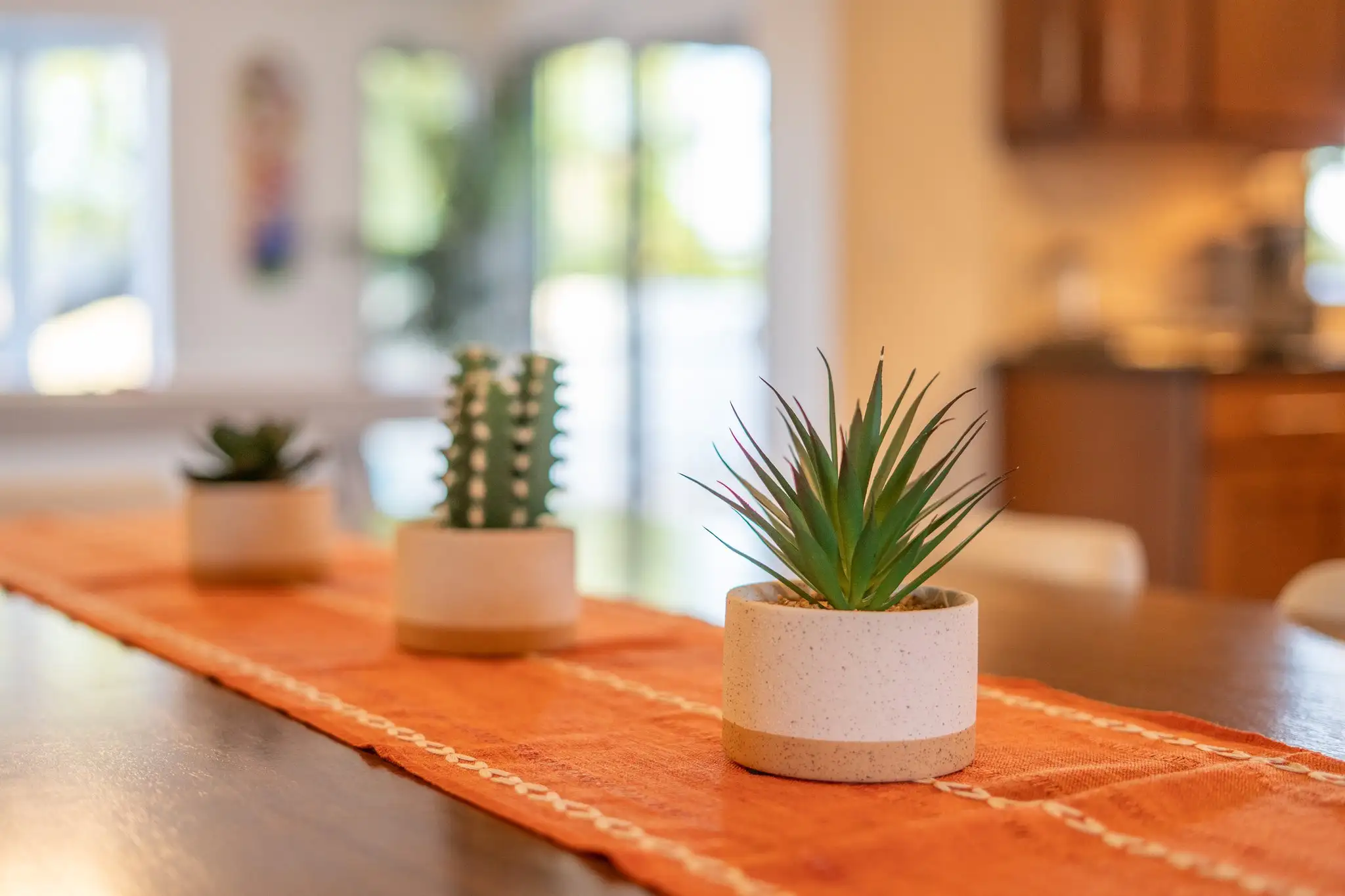 A close-up view of three decorative potted succulents lined up on a vibrant orange table runner on a wooden table.