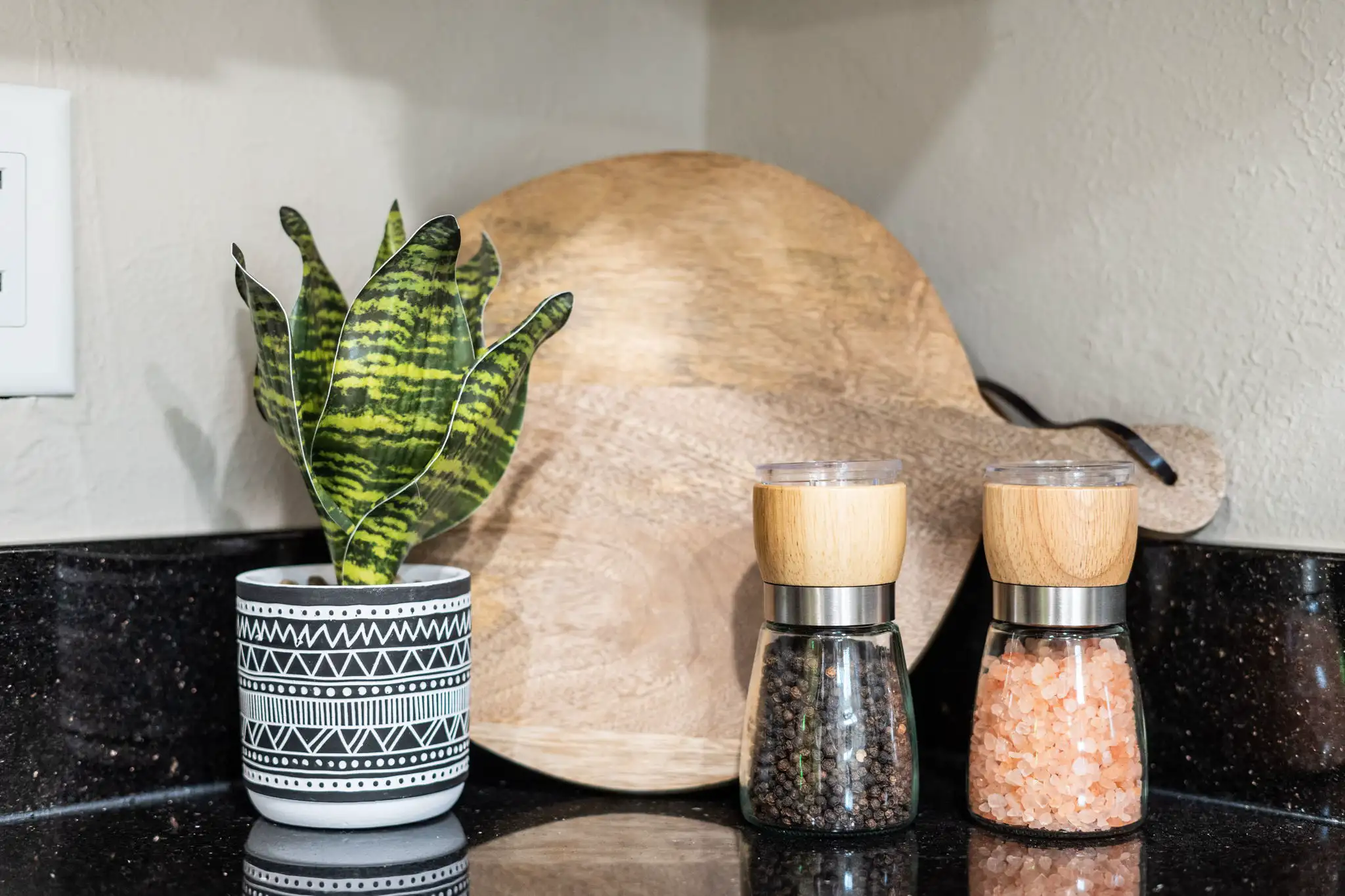 A snake plant in a patterned pot sits next to glass salt and peppercorn grinders, backed by a large round wooden cutting board on a dark counter.